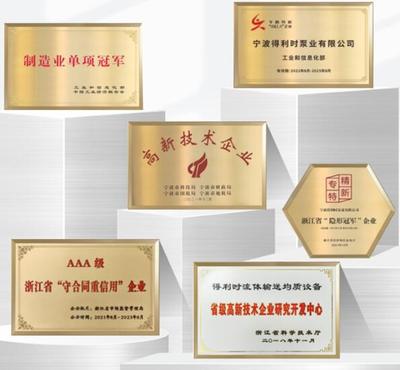 得利時泵業入選浙江省內外貿一體化企業，彰顯浙江服務型制造新標桿