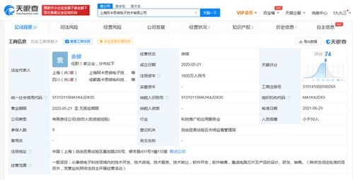 華為入股芯片設計公司，深化集成電路產業鏈布局